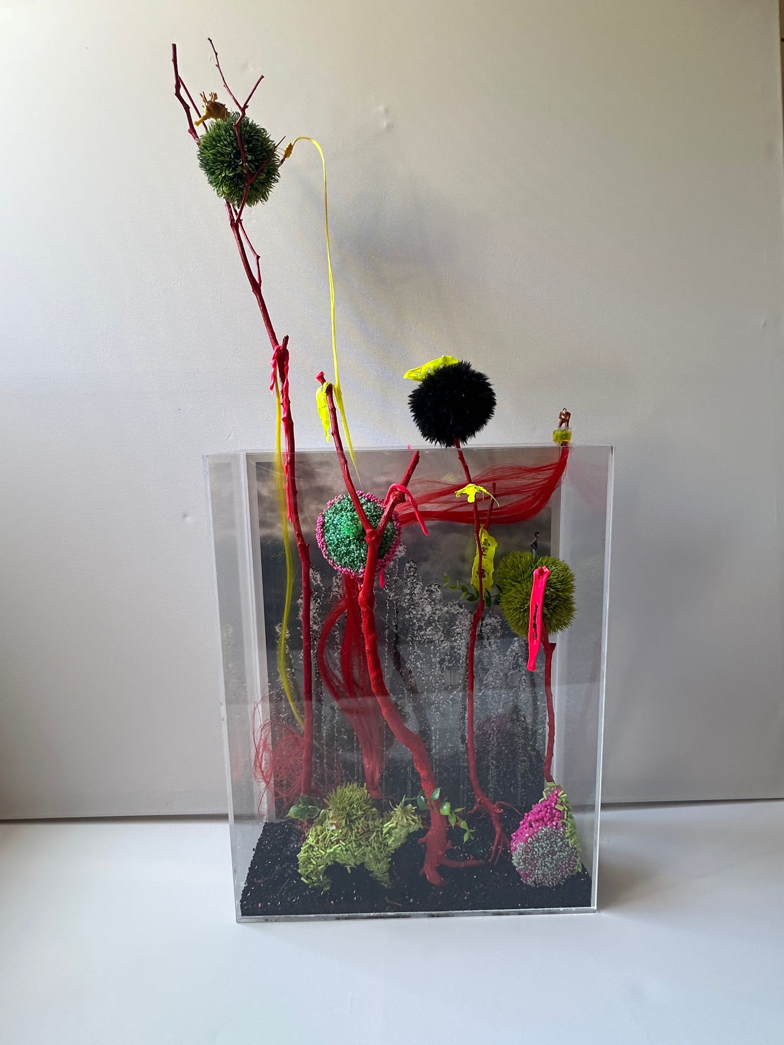 Luisa Pacheco — Hybrid Survival Form
